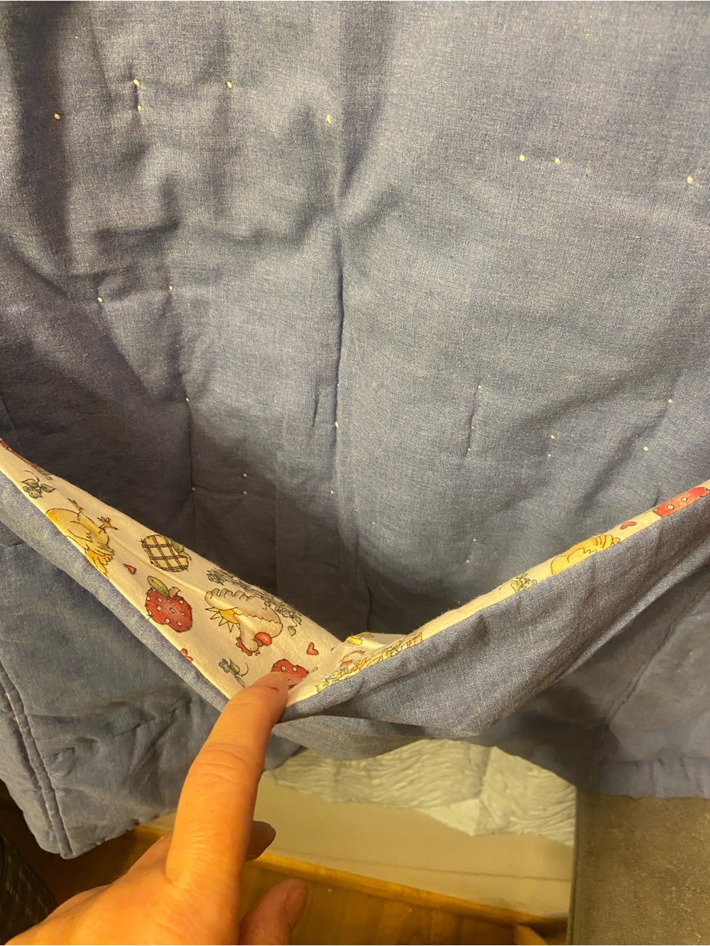 Hand Crafted Cream Quilt with Blue Border and Multicolor Country Print - Picture 5 of 7